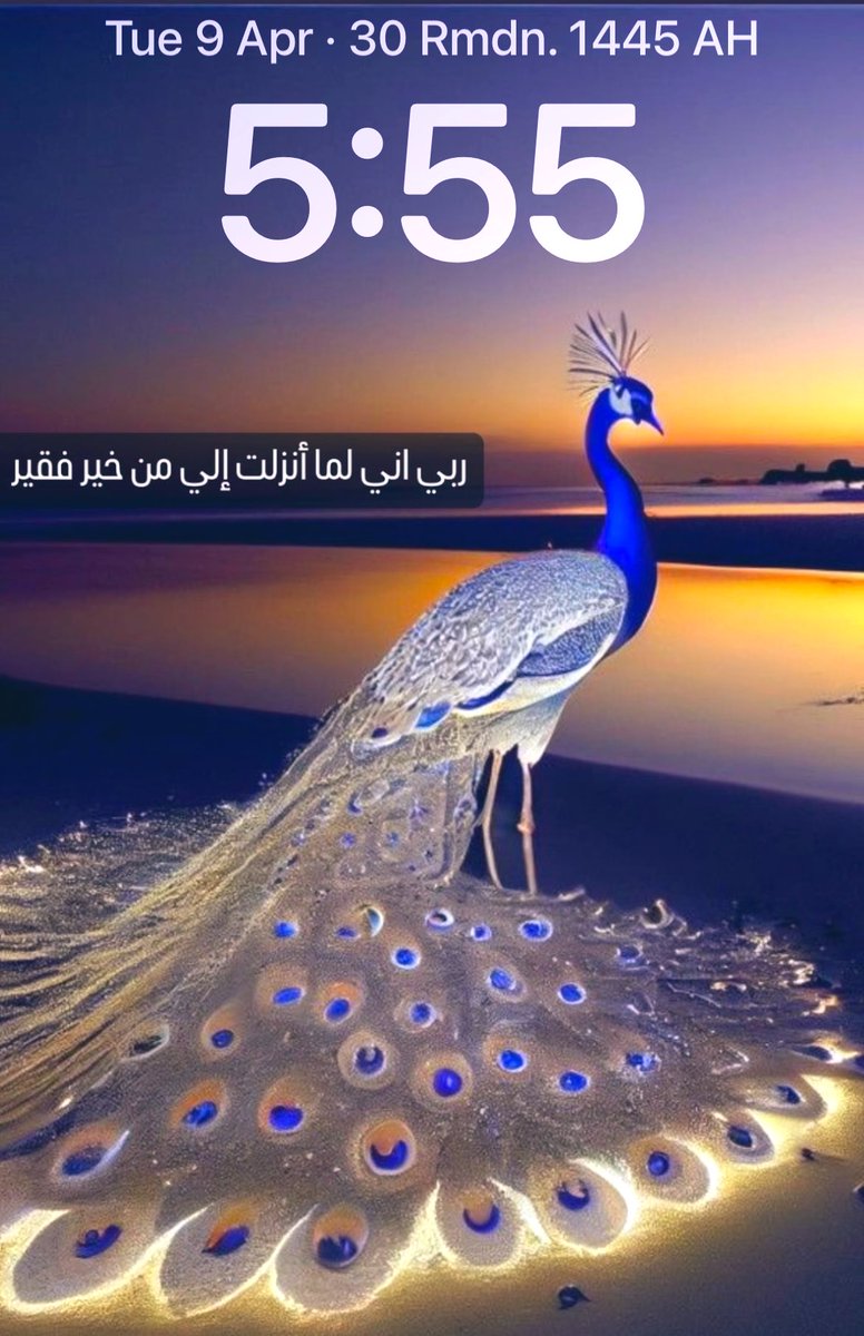 أصبحنا واصبح الملك لله🕊️
اللهم صبحنا ببشائر خيرك 🕊️
اللهم شعور ' قد جعلها ربي حقاً '🕊️