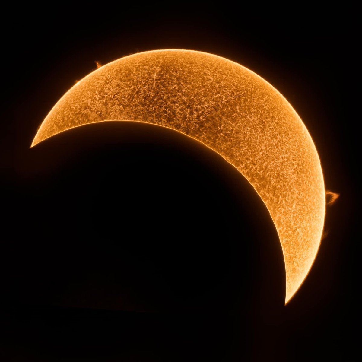 dburgess's tweet photo. Amelia Island Fernandina Beach Florida 
Credit to Gian Lorenzo Ferrette. Thought I would share! #Eclipse2024 https://t.co/5uoWrxN1VD