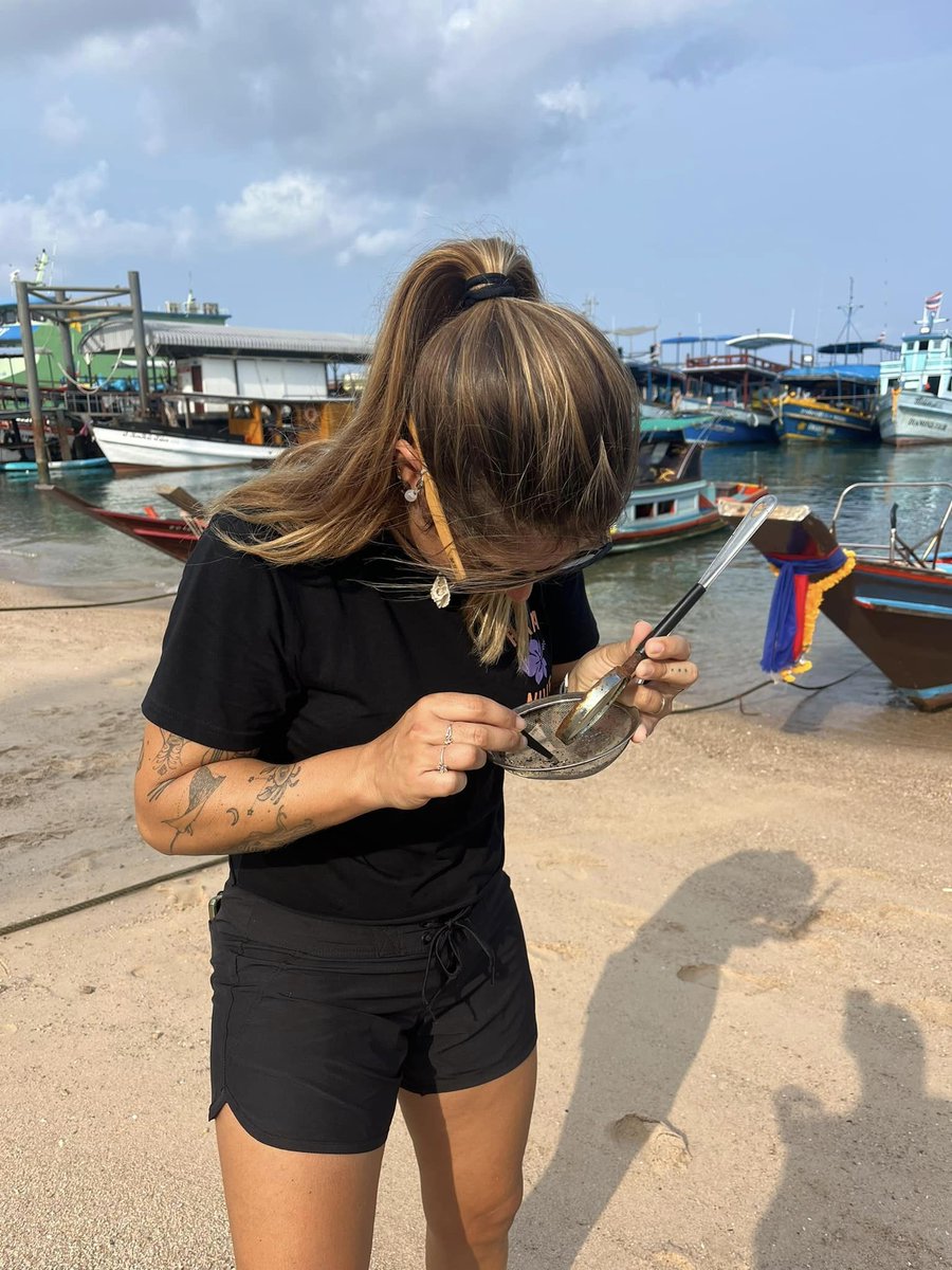 As part of the Conservation Diver Ecological Monitoring Program you learn how to identify and monitor indicator species and what their role in the marine ecosystem is! Message us for more details. ecokohtao.com #diving #conservation #diver #kohtao #nature