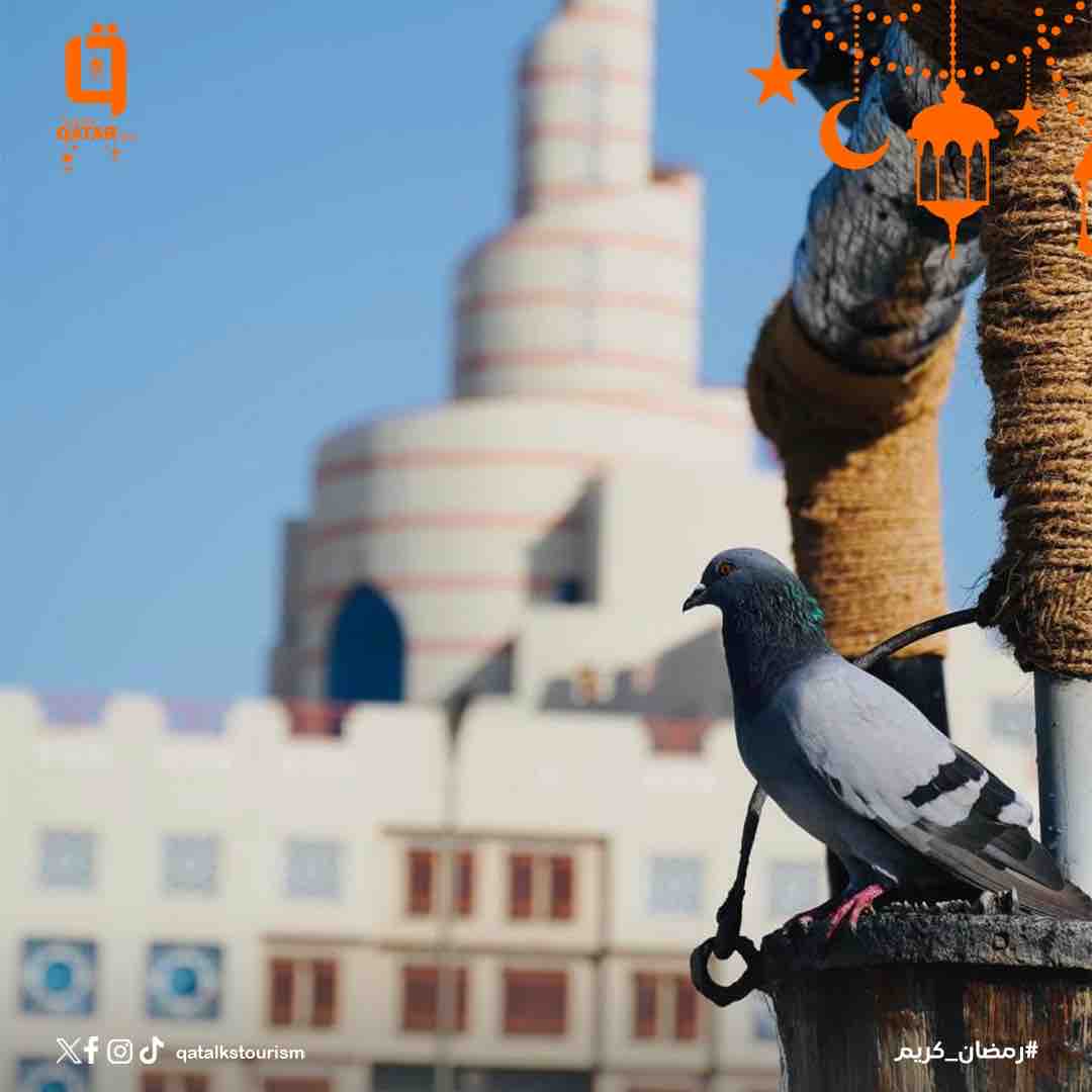 صباح الخير من #دوحة_الخير 💐 🇶🇦 

طيور الحمام مستأنسة على بئر #سوق_واقف التراثي 😍

#قطر_ترحب_بكم #رمضان_مبارك #رمضان_في_قطر #qatar_talks_tourism #qatar_tourism