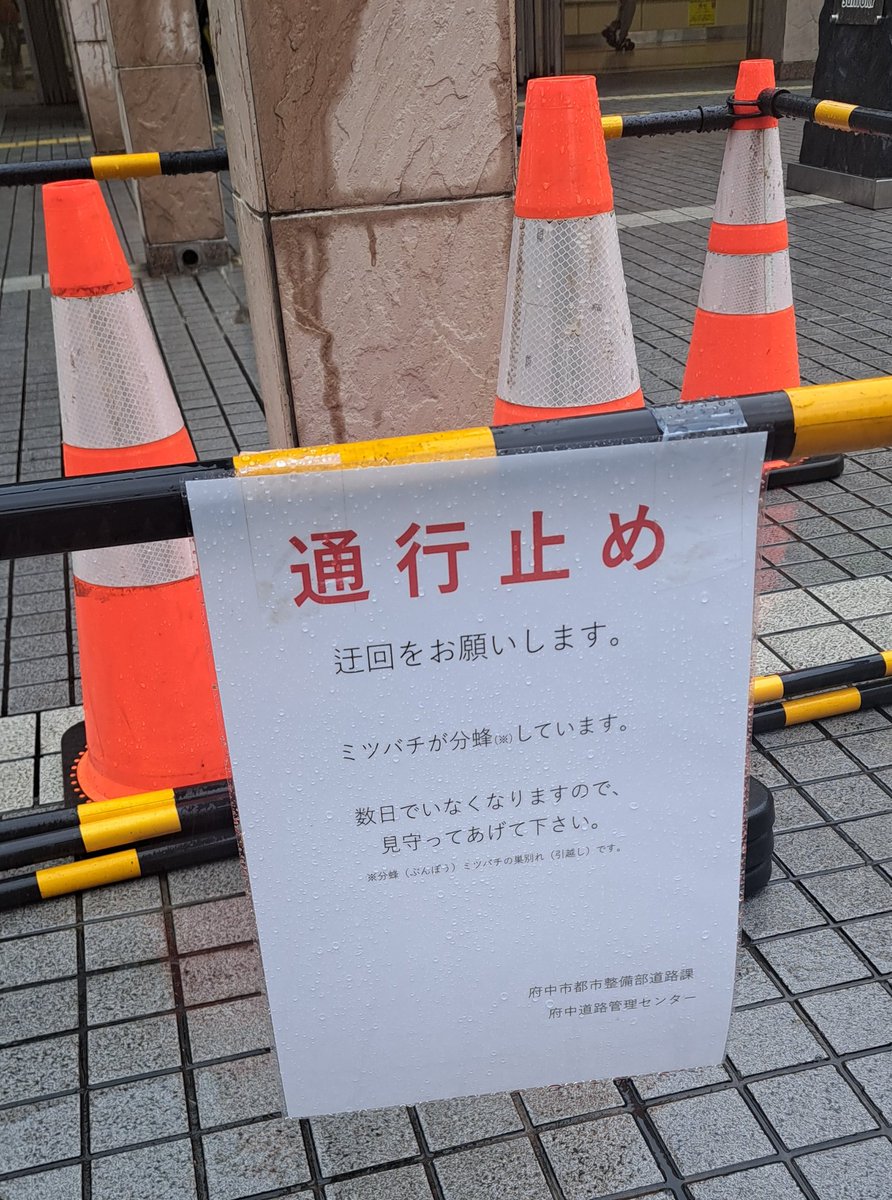 tuatbee's tweet photo. 府中駅で先週末分蜂が発生したようです。この時期ニュースでよく見る分蜂ですが、刺激しなければこちらに危害を加えることは稀ですので見かけた場合はそっとしておきましょう🐝 https://t.co/VrEgTIDXvQ