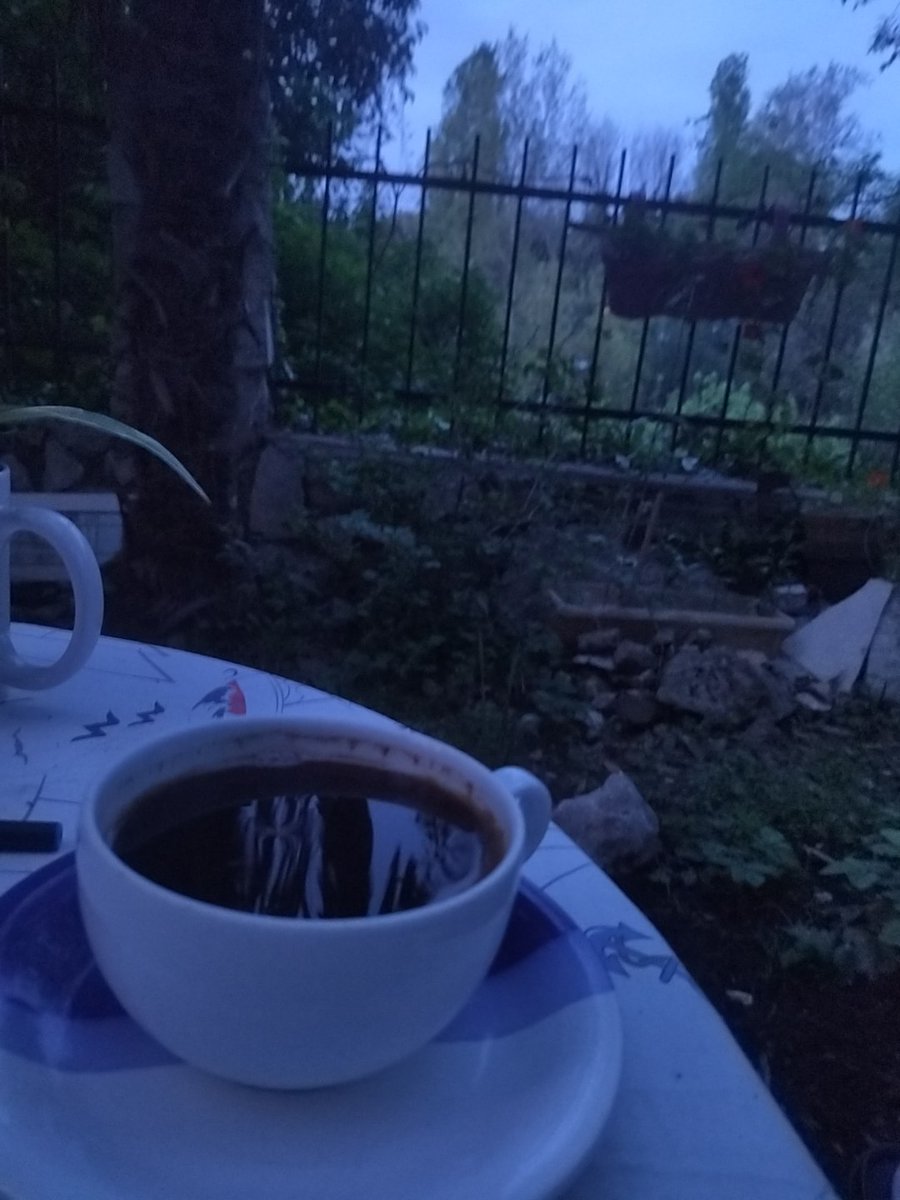 NenaBlazevic's tweet image. Dobro jutro twitterburg #zaljev #prva☕ #osma