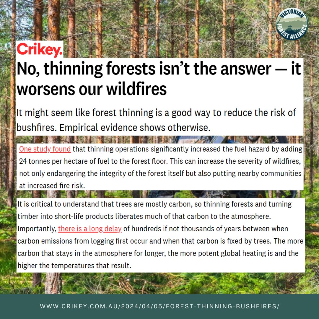 'The best climate solution for forests is to leave them intact and not log or thin them at all. Forests need to recover from decades of overlogging and gross mismanagement by industry and logging agencies. They need less disturbance, not more.' 👉 crikey.com.au/2024/04/05/for…