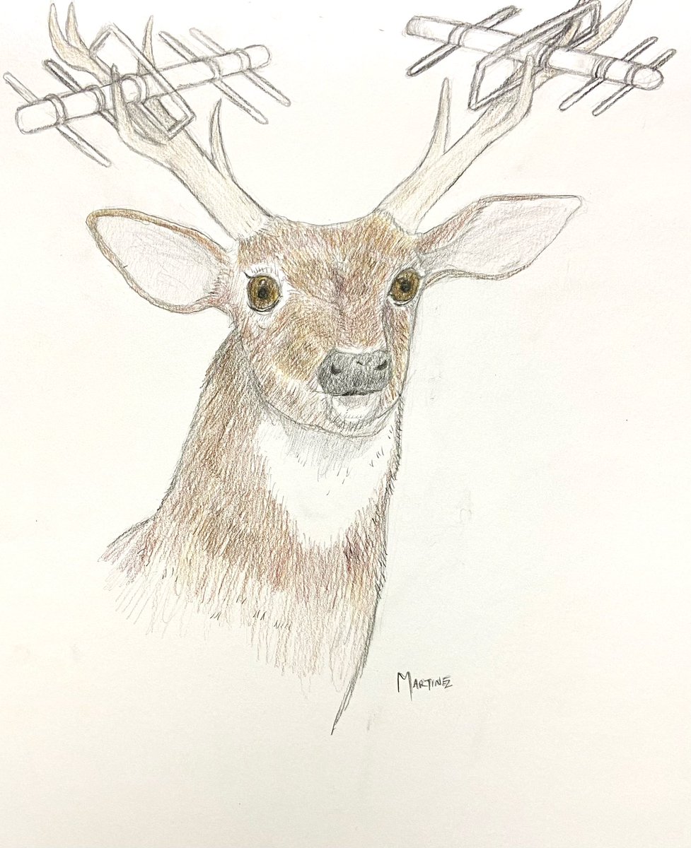 All done coloring this one. Getting any reception with those? Yagi Deer, colored pencil on Bristol. #artbynuwaver74 #deer #antenna #originalartwork #illustration #fabercastellpolychromos #colorpencilart #yagiantenna #nature #humor #drawing #ArtistOnTwitter
