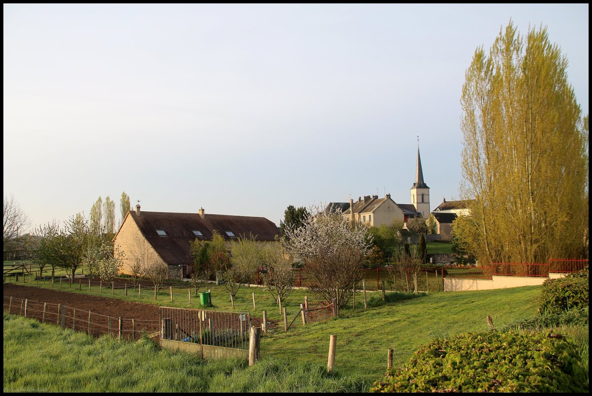 Sarthe V'la le printemps ! #SaintAubinDeLocquenay #Sarthe #laSarthe #sarthetourisme #labellesarthe #labelsarthe #Maine #paysdelaloire #paysage #nature #campagne #rural #ruralité #gondard #route #road #OnTheRoadAgain #graphique