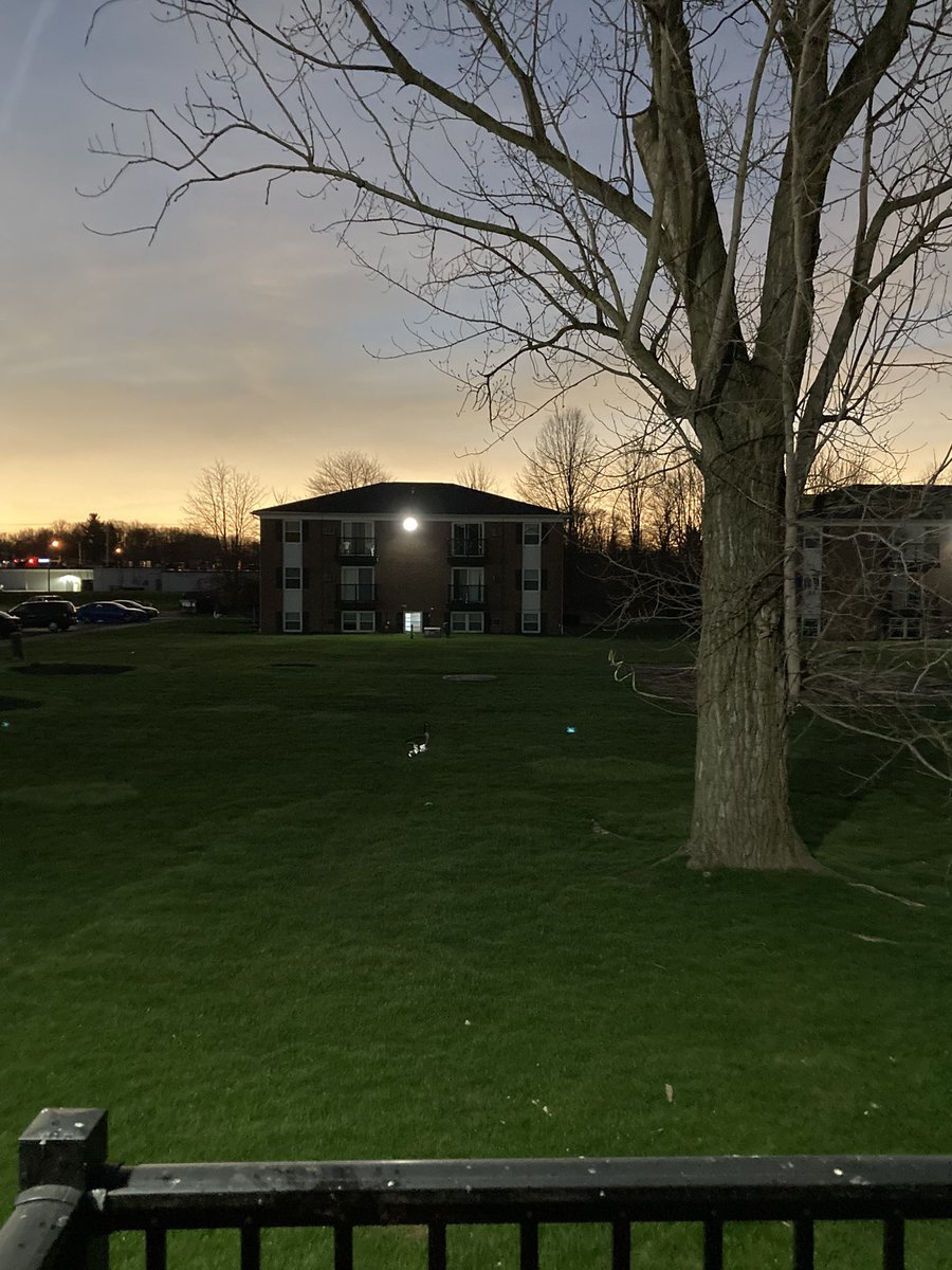 TerryKaye2's tweet photo. Awesome experience indeed.! 3:14p Monday in Brunswick, Ohio. #nwscle #nws #Ohio #EclipseSolar2024 #happyEclipseday #SolarEclipse #Eclipse #Eclipse2024 #historic #News5 #Cleveland #cle #Awesome #NASA #ohwx #April8th #x #FoxNews #nwsohio #media https://t.co/zdi4Iq63jJ