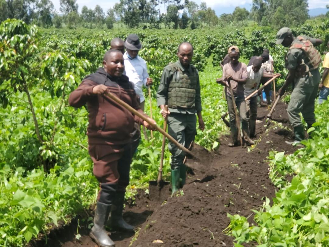 AmaniSteven10's tweet photo. La population de Rubare ensemble avec le chef de cité #Maguru,l'Administrateur du territoire de Rutchuru Prince Mbabuka tjrs en action. https://t.co/iW4RYsoGhi