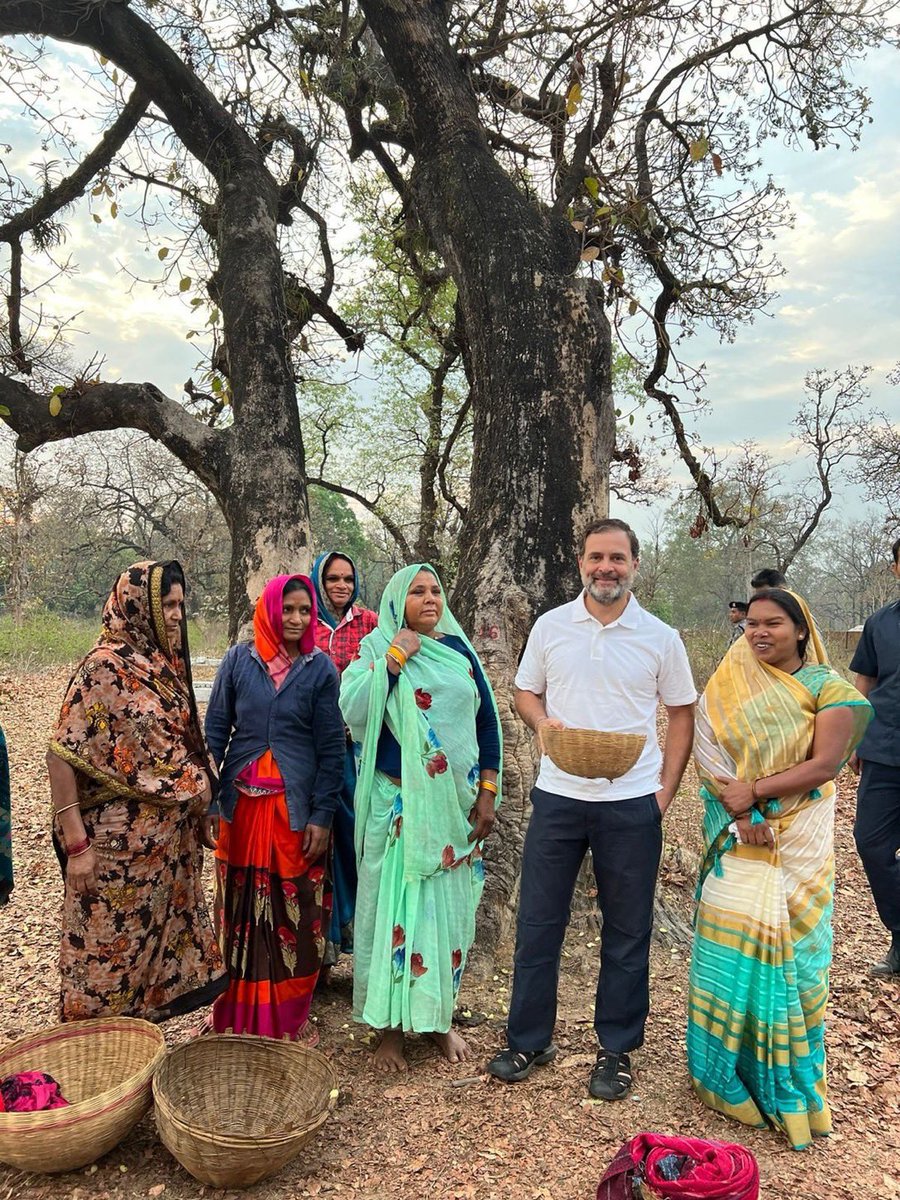 Rahul Gandhi Ji met Tribal women in Umaria, Madhya Pradesh. He picked some ‘Mahua’ along with them…