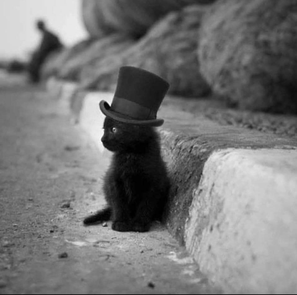 SlavicWarrior®️ tweet media