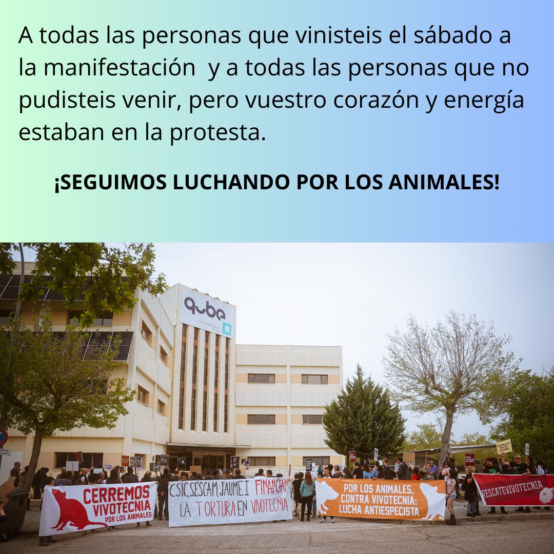 Ayer hizo 3 años de las imágenes del infierno de Vivotecnia. El sábado marchamos por Tres Cantos para que no queden en el olvido los animales que están allí dentro.
Gracias a quienes acudisteis 😻
Sin activistas no hay #LiberaciónAnimal 
#CerremosVivotecnia