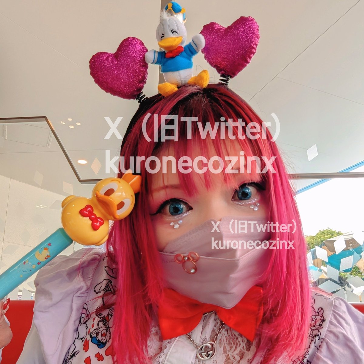 kuronecozinx's tweet photo. プロフ変えましたー！

相変わらずの低浮上だけど、一応は生きてます←

#新しいプロフィール画像 #ディズニー  #ディズニーパルパルーザ #ディズニー好きさんと繋がりたい #ディズニー好きさんと友達になりたい #ドナルドのクワッキーダックシティ #ドナルドダック #Disney #DonaldDuck https://t.co/DgiluLcX7R