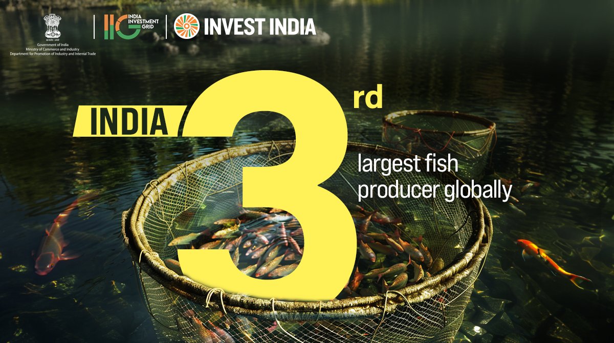 #GrowWithIndia In FY 2022-23, India achieved a historic milestone with the highest-ever export of fisheries and fisheries products, totalling ~2 MMT valued at USD 8 Billion+. Explore opportunities in the sector on #IIG at bit.ly/FoodProcessing… #InvestInIndia #FishProduction