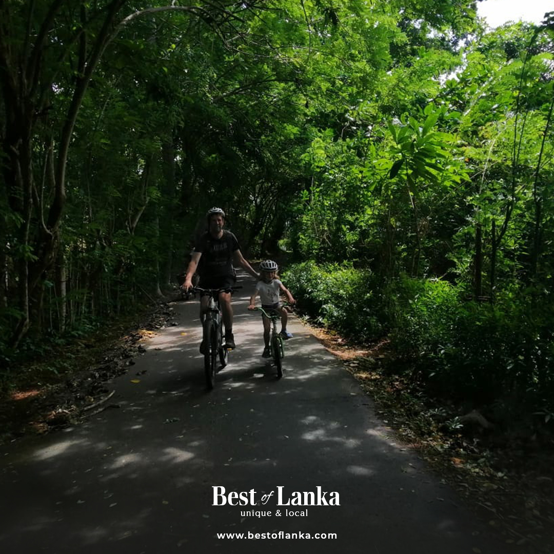 Explore the countryside of Galle by bicycle with a villager...
#bestoflankatravels #bestoflanka #srilankanexpeditions #visitsrilanka #srilankatravel #dmcsrilanka #destinationmanagementcompany #destinationmanagement #cycling #cyclingingalle #cyclinginsrilanka #cyclingincountryside