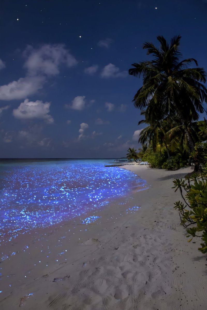 __Earthpictures's tweet photo. https://t.co/KQiH4018CQ