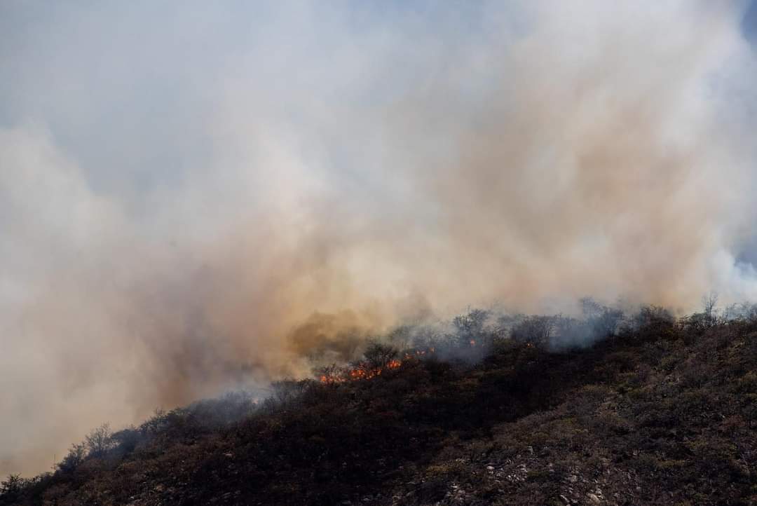 ABRIL ES EL MES DE MAS ALTO RIESGO DE INCENDIOS. EN 2019 FUERON LAS FECHAS EN QUE DEL PEOR INCENDIO QUE SE TENGA MEMORIA EN LA SIERRA DE SAN MIGUELITO... #SierraDeSanMiguelito #SiZapataViviera #yodefiendolasierra @julioastillero @lopezobrador @Gabino_MM