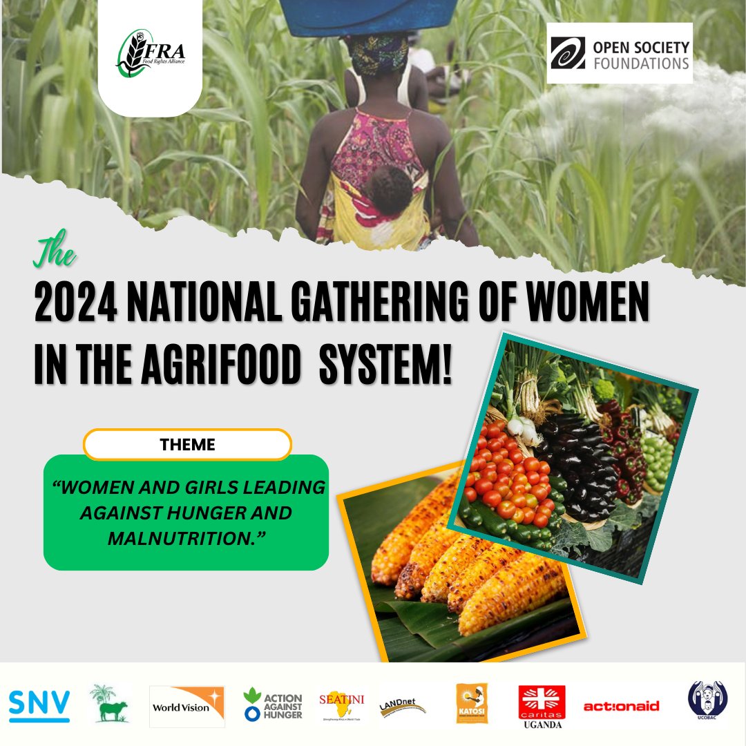 Today, UCOBAC in collaboration with @FRAUGANDA & other partners are pitching camp in Mbale for the Eastern region gathering of Women in the Agrifood system. Grassroots women producers will convene to discuss their contributions & challenges in addressing hunger & malnutrition.