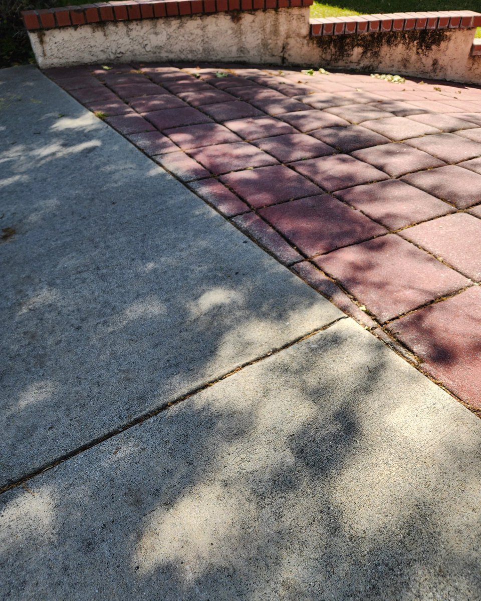 I came home straight from work and caught some of the fun shadows today. Leaves are my favorite pinhole camera. #eclipse