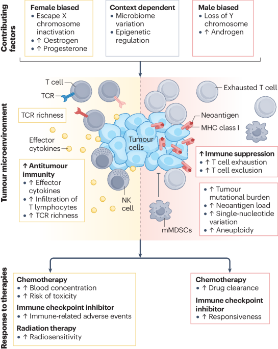 NEW content online! Hallmarks of sex bias in immuno-oncology: mechanisms and therapeutic implications dlvr.it/T5Fz27