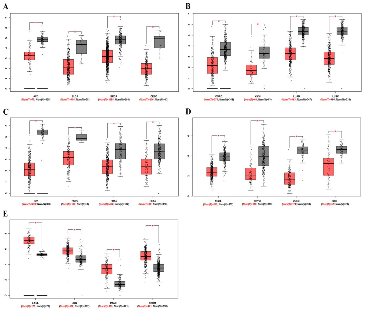 #ZincFinger E-Box Binding Homeobox 2 as a Prognostic #Biomarker in Various Cancers and Its Correlation with Infiltrating Immune Cells in Ovarian Cancer 👥By Prof. Hye-Ran Kim et al. 🏦Dong-Eui Institute of Technology 🔗mdpi.com/1467-3045/44/3… @MDPIOpenAccess #OvarianCancer