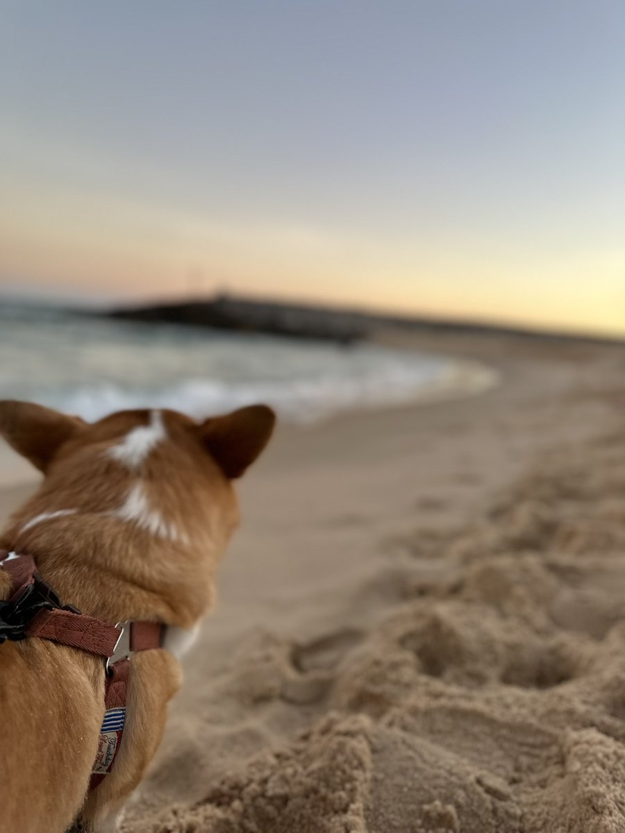 Gm #NFTFam How is it going? ✨ I’m on my best vacation 
#NFTCommunity