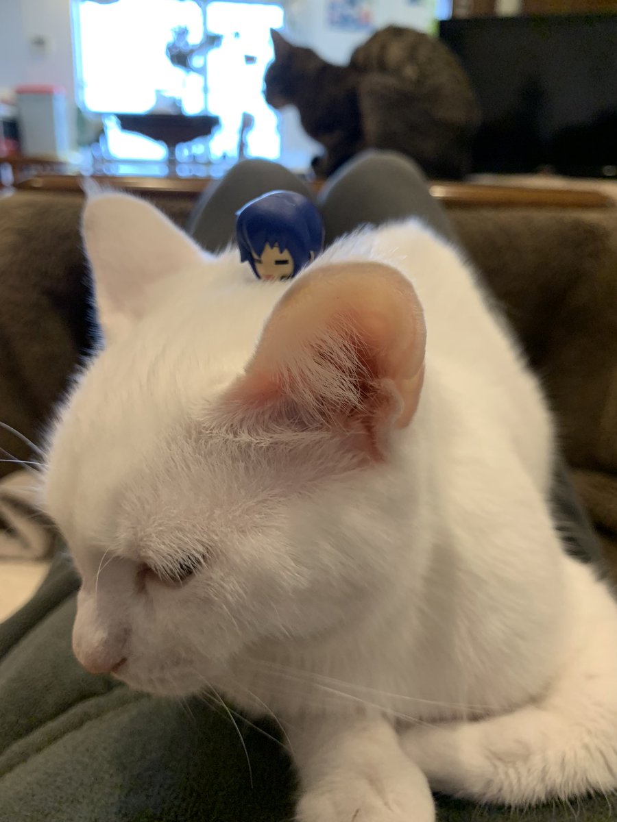 My son relaxing on my daughter's head now🥰