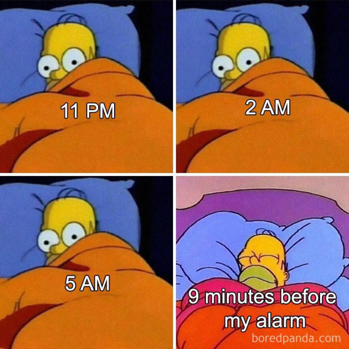 Every night