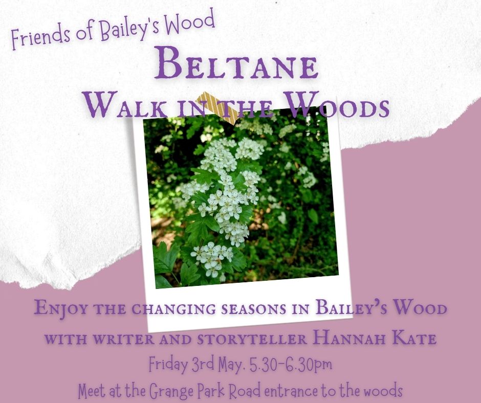 🌸 Beltane Walk in the Woods this Friday at 5.30pm. Join us for a gentle, social walk in the woods to enjoy nature and the changing seasons in Bailey's Wood, with stories & folklore from @HannahKateish. All welcome. 🌸