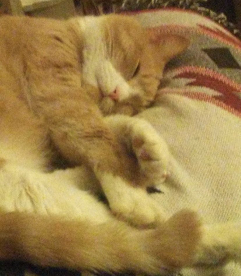 🩷🩷❤️❤️