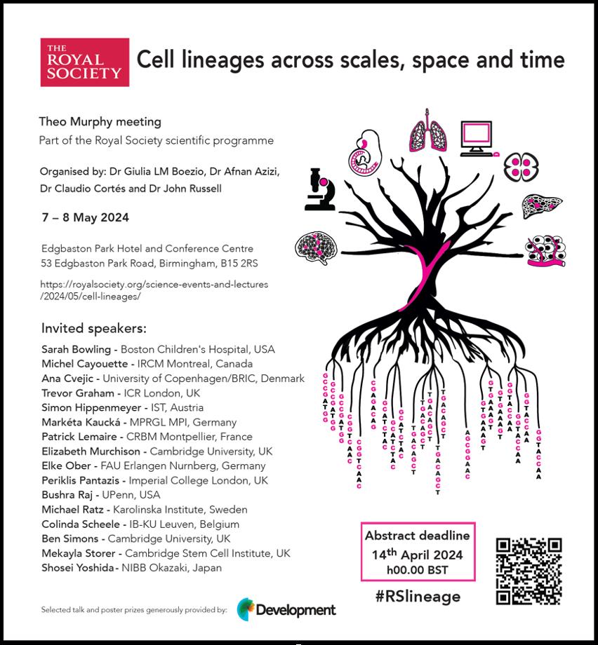 LAST CHANCE to apply to this @royalsociety conference. Aimed at researchers interested in cell fate decisions, lineages, cancer, stem cell/regeneration and developmental biology. FREE registration. STACKED speaker list. 👇👇