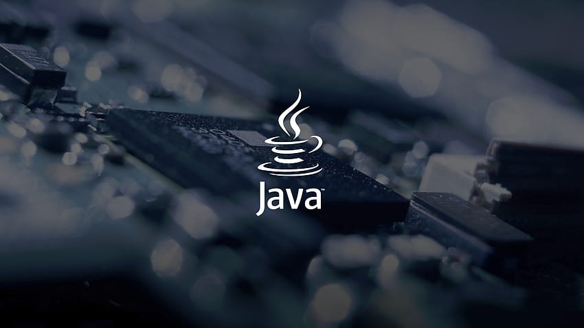 In 1991, Sun Microsystems, led by James Gosling, created Java. By 1995, it was ready for global adoption. Java has since thrived with contributions from many. The Java Community Process (JCP) oversees its development, including specifications and compatibility tests.