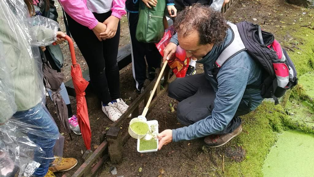 🦟#Llíria, #Ubrique, #LaSolana, #Coria y #CangasdoMorrazo participan en @Mosquito_Alert. Se realizarán sesiones del proyecto de ciencia ciudadana en centros educativos #CiudadCiencia ➡️bit.ly/3U9GIKM @aytolliria @aytoubrique @ayto_lasolana @ConcelloCangas @Ayto_de_Coria