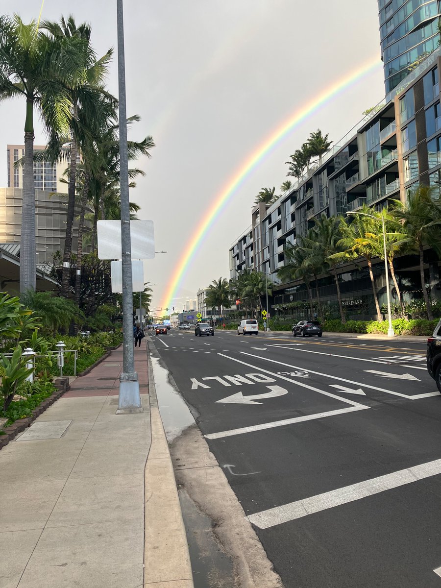 From the Department of Daily Honolulu Rainbows