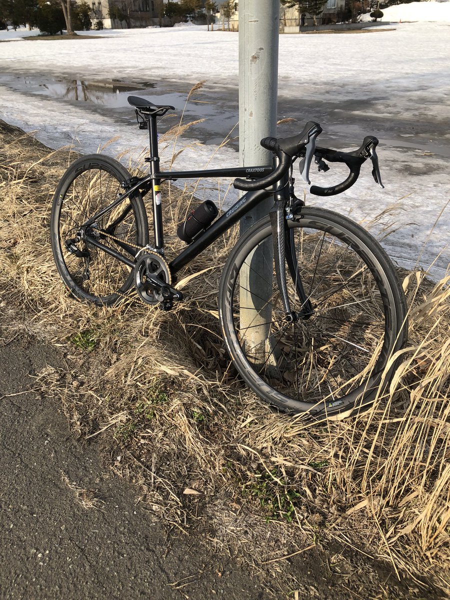 浅利♡ トリックスター / Ninja ZX-4RR / ZX-4R SE(24-26) 政府認証