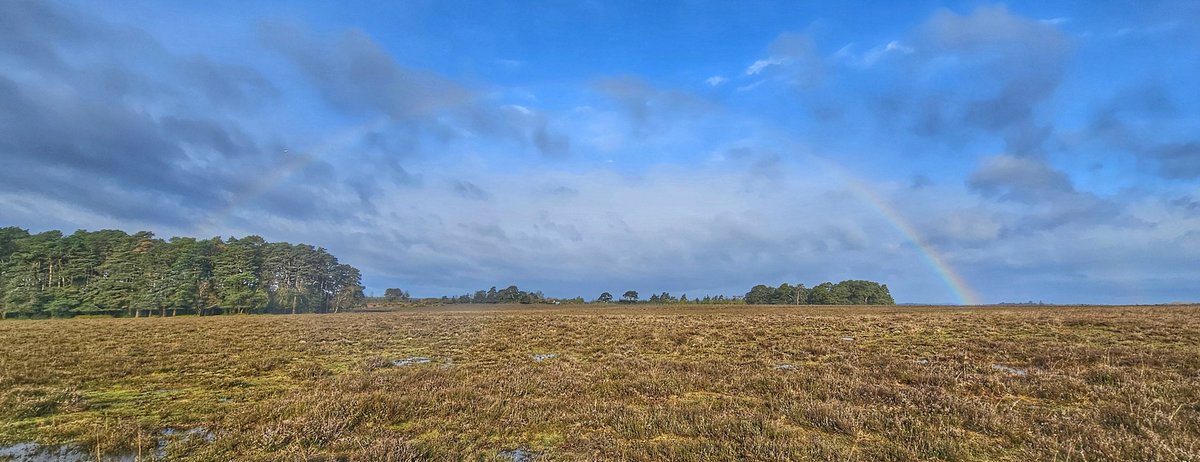 youngonesfive's tweet image. Rainbow over the New Forest this morning... 

@EngNewForest @NewForestNPA @HantsIWWildlife @BBC_Hampshire @AlexisGreenTV