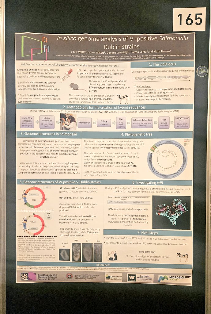 #Microbio24 Day 2! 
Thanks to the lovely folk <a href="/MicrobioSoc/">Microbiology Society</a> for the chance to talk about my #salmonella babies 🦠 and the #sequencing work from my time with the <a href="/LangridgeLab/">Langridge Lab</a>. 
We do love genome structures! ❤️