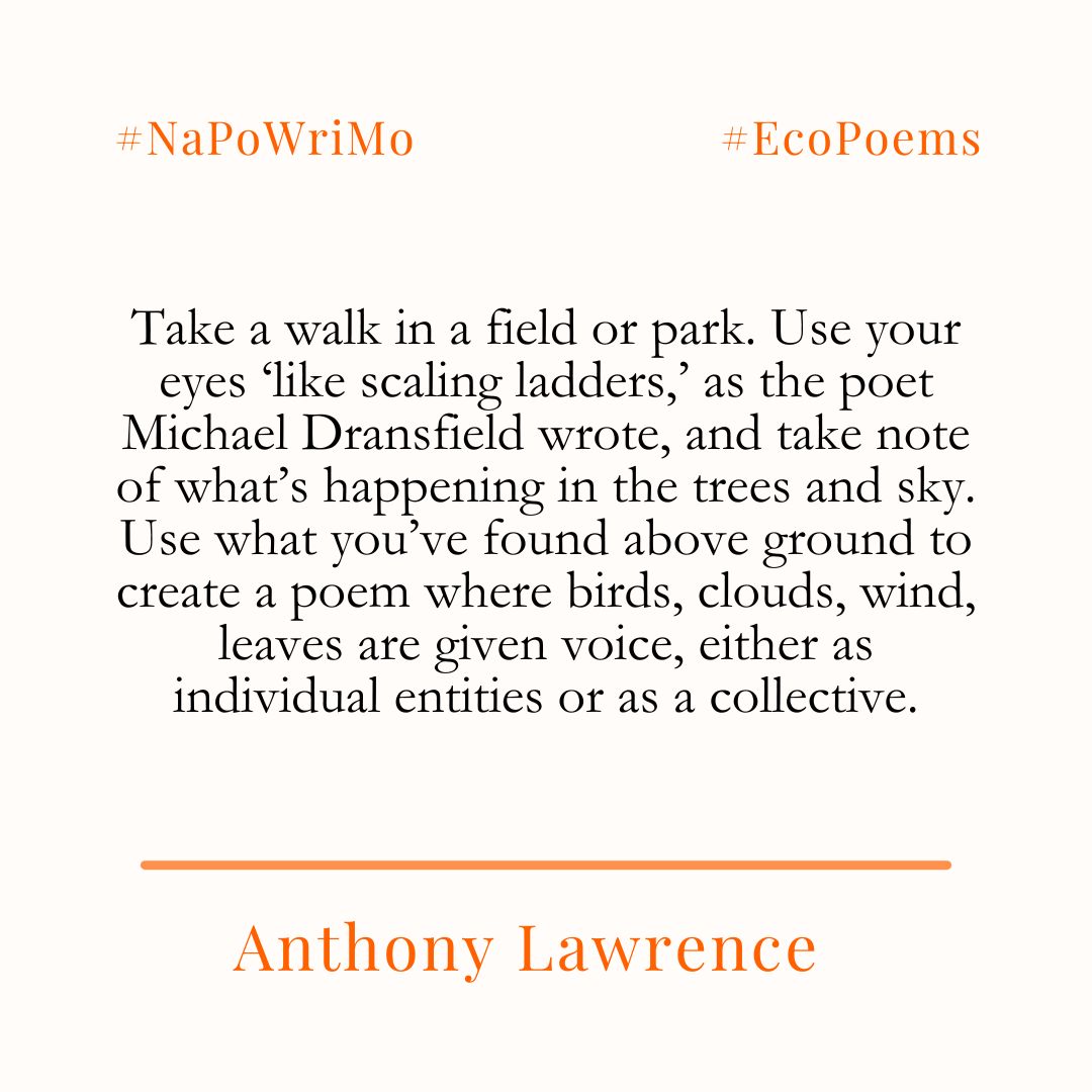 Happy #NaPoWriMo!

The challenge to write a poem every day of April is well underway and to help you on your journey The Poetry Society will be providing a prompt each day - today's is from Anthony Lawrence!

Check back here for more