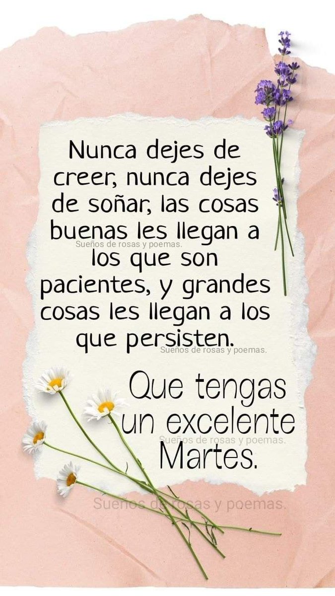 Lydia Esther tweet media