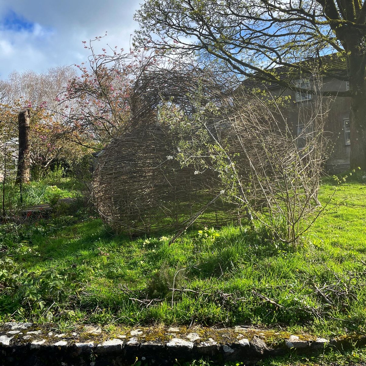 🌞This beautiful hazel structure outside the College is the result of a final project of our MA Arts & Ecology student @FlickFerdinando and it looked great in this morning’s sunshine! If you are passing by any time soon take a moment to go in and see how you respond to it…