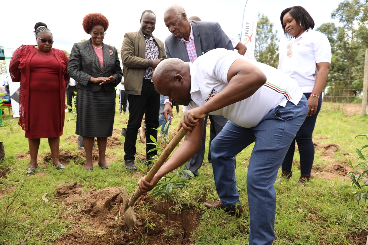 MMUST Partners with National Research Fund for Ceremonial Tree Planting Exercise in Implementation of the Presidential Directive
Follow the link for the story: bit.ly/43LfnSy
@nrfkenya 
#IchooseMMUST
#universitofchoice
#treeplanting