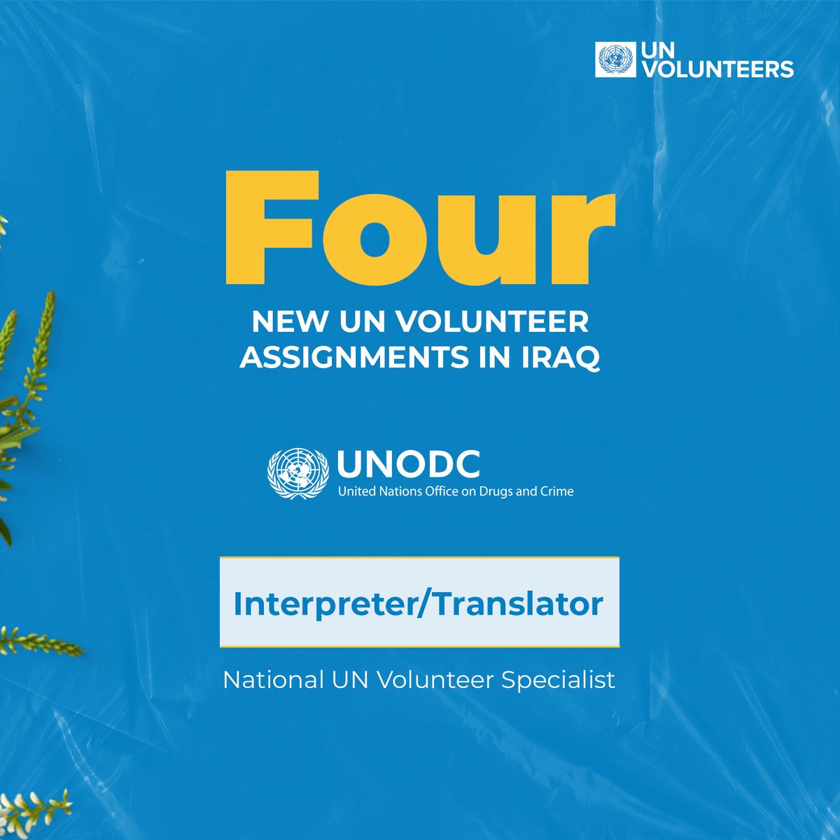 For individuals with high proficiency in both Arabic and English! UNDOC in Iraq is currently seeking four volunteers to serve as Interpreter/Translator 📅 Apply by 23 April 2024: bit.ly/3UcLurb bit.ly/4au62Ry bit.ly/3xuf7v1