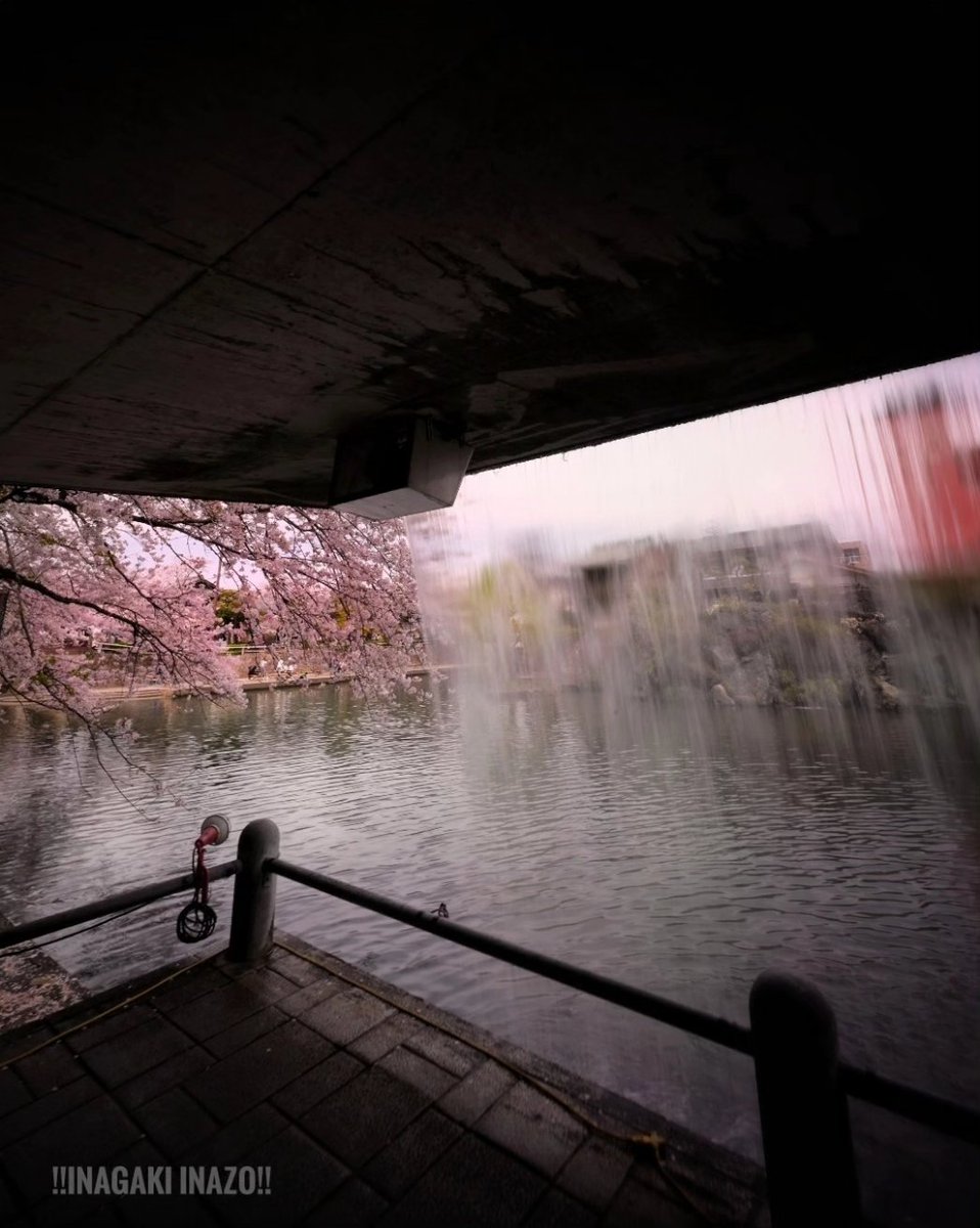 #桜　
#奥の細道むすびの地

#japan #japanese

#Z6 #japan #japanese #風景写真 #日本の風景
 #日本の風景写真 #Spectacularview #japaneselandscape #landscapephotography #私とニコンで見た世界
#東京カメラ部 
#tokyocameraclub