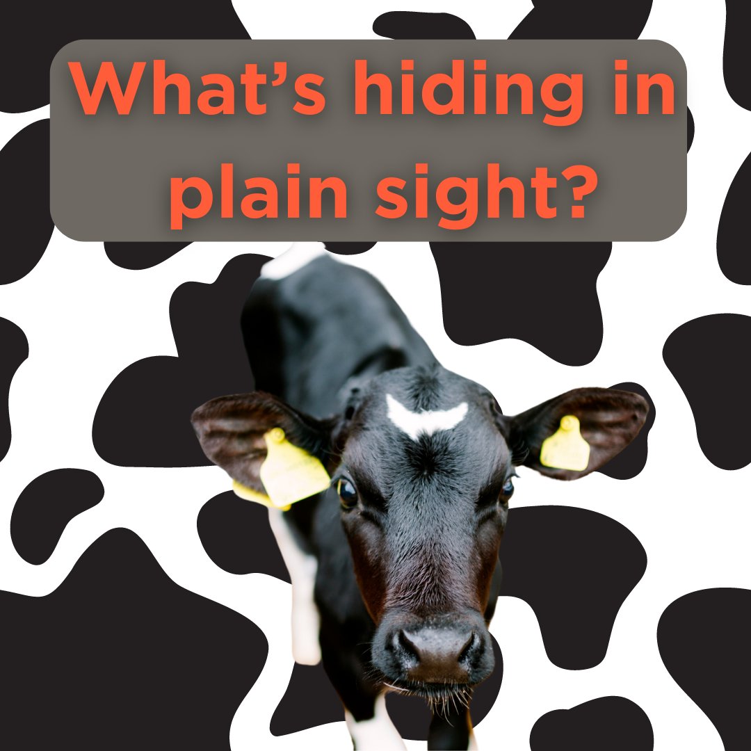 What’s hiding in plain sight? - Fine-tuning calf rearing.

Could lean management work for your calf rearing system?
farmiq.co.uk/course/nationa…

@cowmanagement
#farmiq #courses #newcourse #new #animalhealth #nationalyoungstockconference2023 #elearning