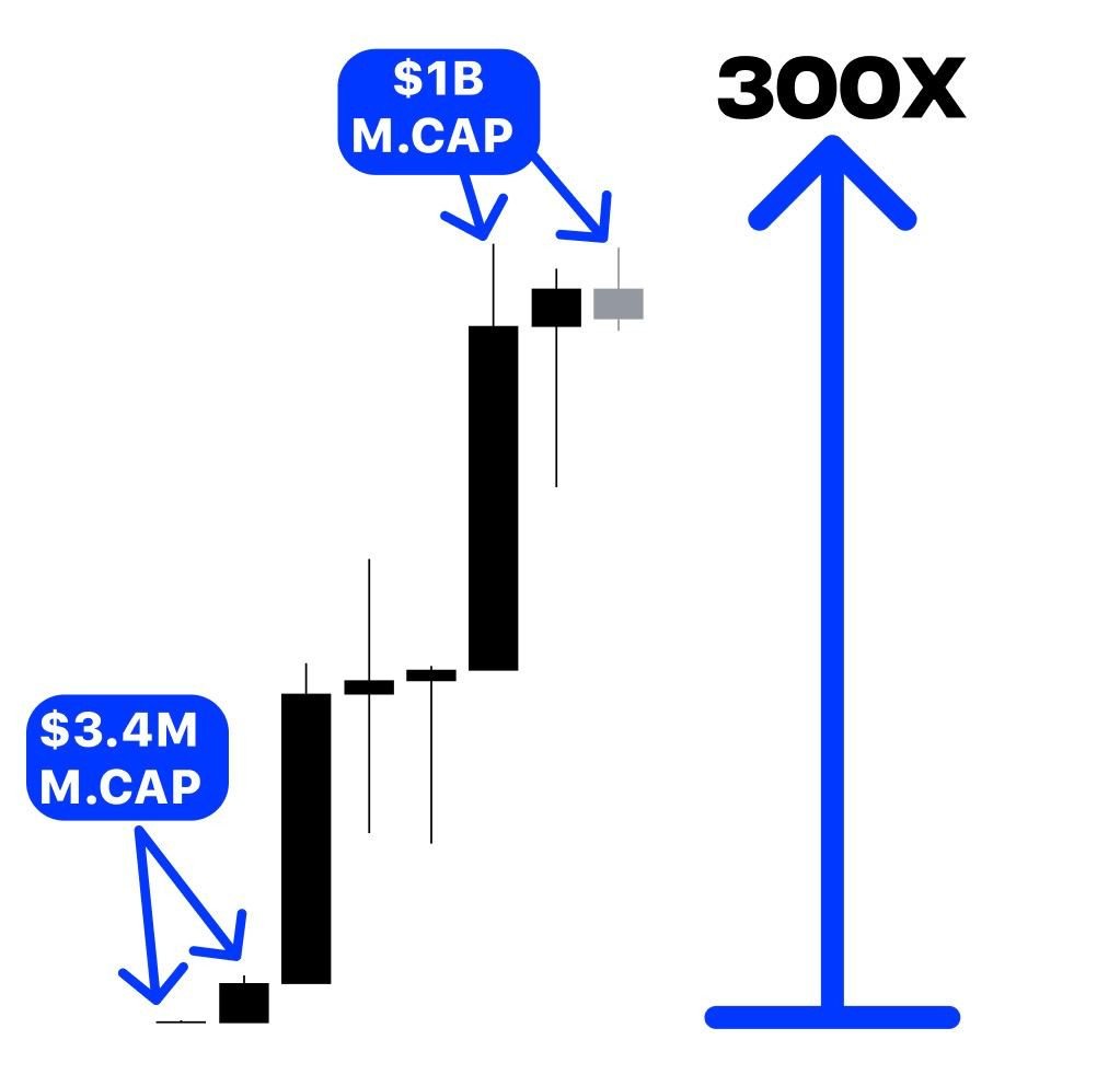 Lowcaps is where you can turn nothing into 6 figs in a few days:

$WIF +10,500%
$BONK +6,800%
$BOME +6200%
$BRETT +5900%
$MYRO +2,105%

After scanning over 500 lowcaps I've gathered my 100x shopping list.

The more likes and RTs you hit, the faster I'll share it 👇