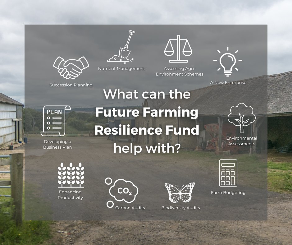 The FFRF Scheme covers a range of resources including free, bespoke business advice, tailored specifically to you and your goals⭐️

Book your free one to one business consultancy here⬇️ 

adas.co.uk/services/futur…

#ukfarming #bps #backbritishfarming