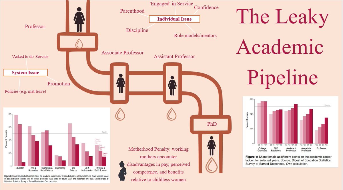 I spent a lovely few days reading & creating a picture/graphic of when women 'leak' out of academia & why! It's not just about women needing mentoring or confidence. ..we need structural changes!