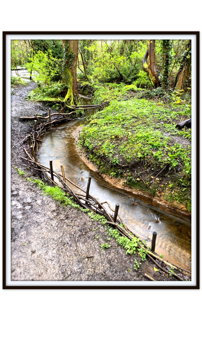 'The Long and Winding Stream' Woodland waters in Moseley Bog...magical feel to a special place @InlandWaterways @CRTWestMidlands @mosbogfriends @TreesforCities @WoodlandsOnline @PositivelyMKH @moseleyforum