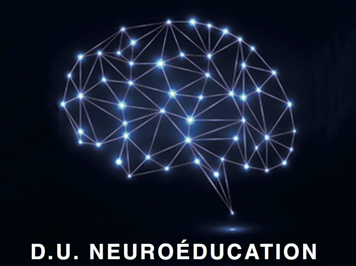 🗓️Les inscriptions en ligne pour le DU Neuroéducation - parcours hybride vont bientôt ouvrir. Infos à suivre sur : odf.u-paris.fr/fr/offre-de-fo… @CNRS_Villejuif @univ_paris_cite