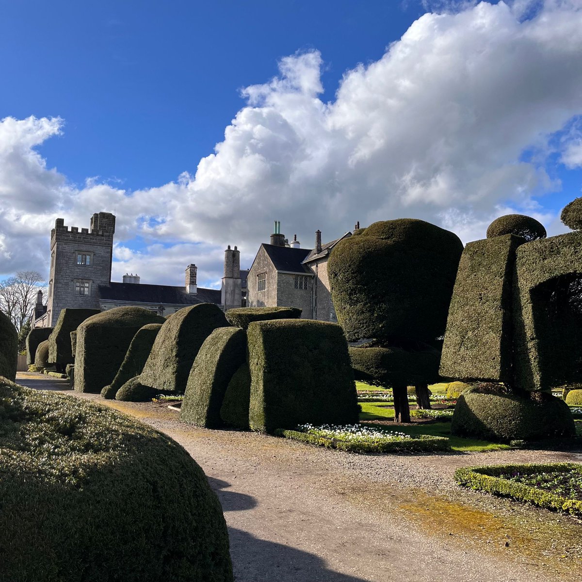 Hedge Tetris ❇️🟩✳️ Fabulous trip to Levens Hall in the Lake District. 🌳 Topiary for days, incredible carved oak and a ghost story thrown in for good measure. 👻 Has anyone else been to this place? #LakeDistrict #LevensHall #Heritage #Topiary #GhostStory #GrimUpNorth