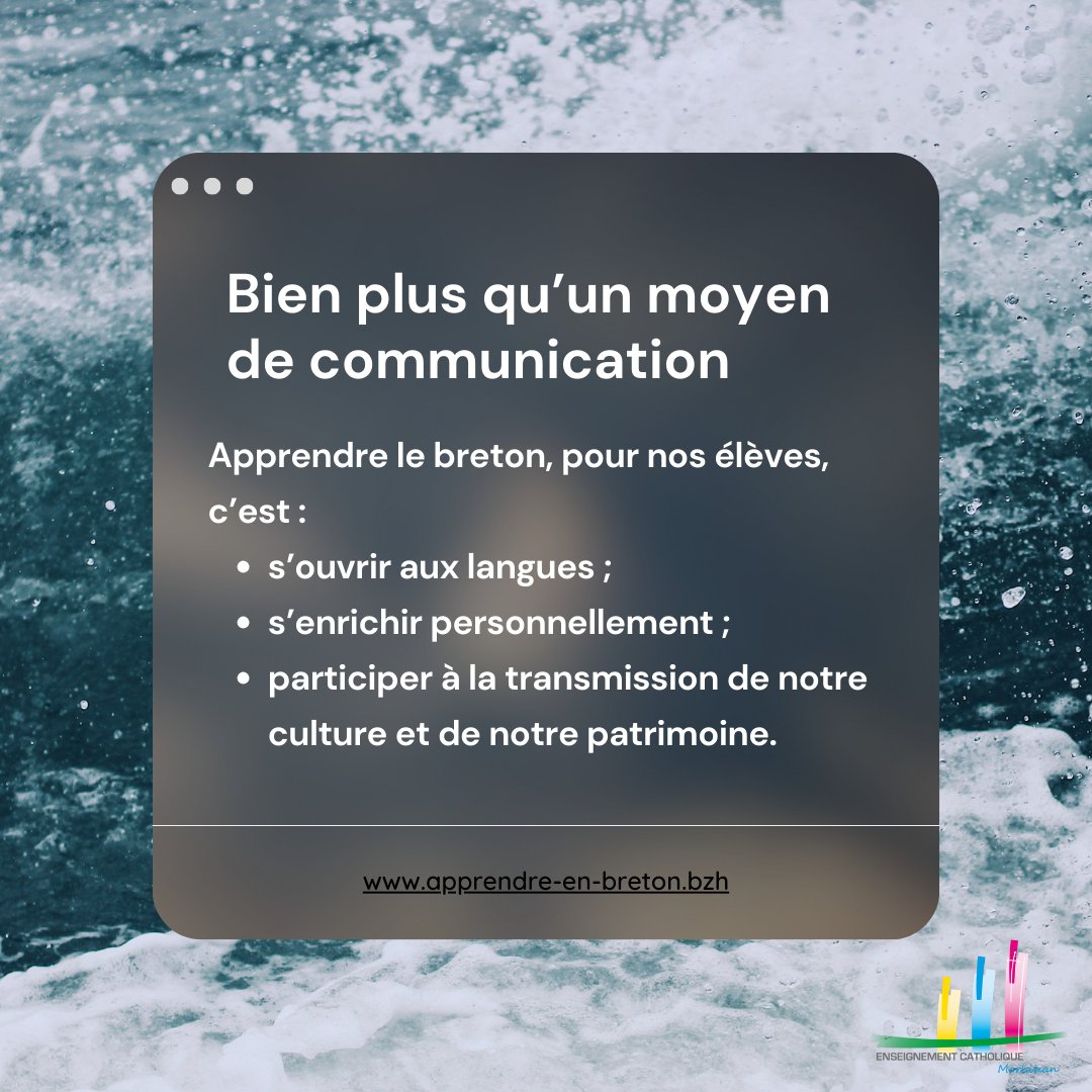 "Faire aujourd’hui le pari d’une éducation bilingue pour nos enfants, c’est leur donner de réels atouts pour leur épanouissement, leur développement personnel et l’apprentissage des langues."

Stéphane Gouraud - Directeur Diocésain du Morbihan

#breton #brezhoneg #EC56