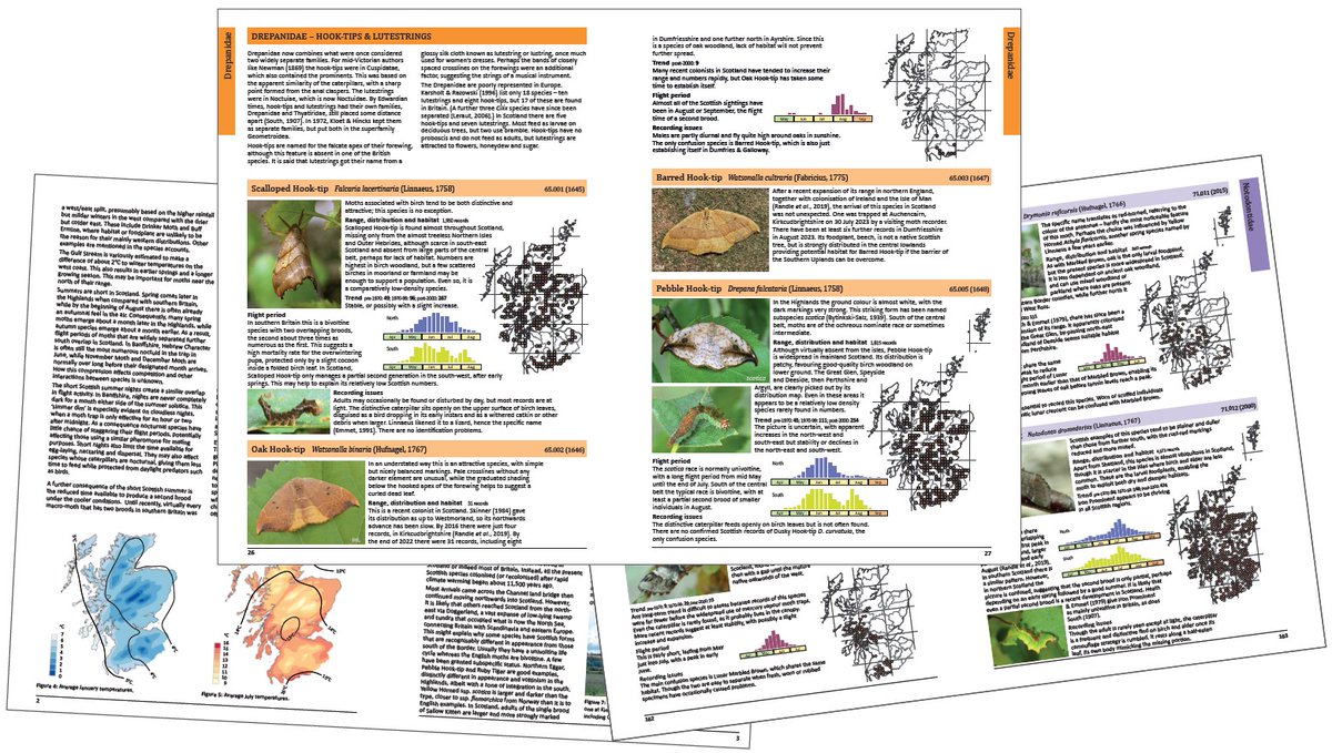 Mark Cubitt tweet media